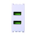 ETTROIT Presa USB Caricatore USB 5V 2,1A 2 Porte USB-A Colore Bianco Compatibile Con Vimar Arke VA2402B